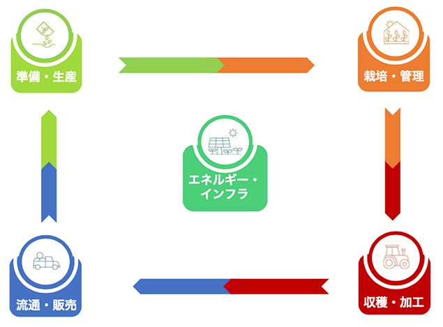 カテゴリー分け