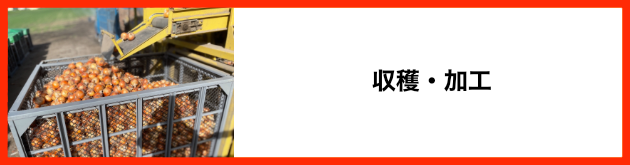 収穫・加工
