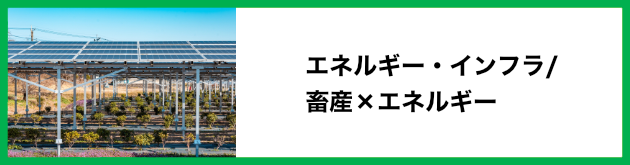 エネルギー・インフラ/畜産×エネルギー